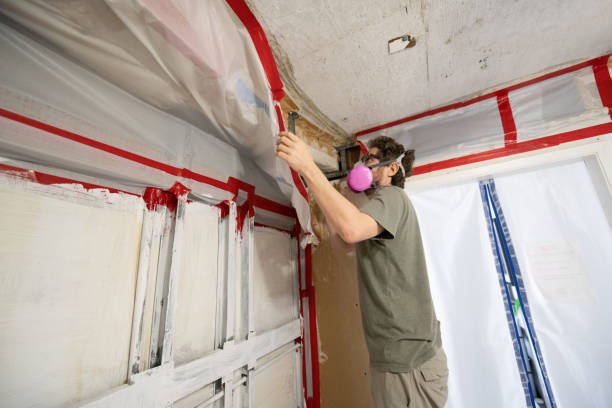 Best Industrial Mold Remediation  in Norris, TN